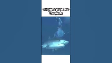 It’s just a prank bro.