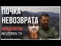 Путин отомстил Пашиняну. Началась новая война. Кадыров. Лавров козел и огород ООН.