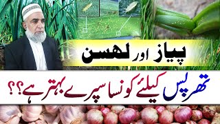 How to control Thrips from Onion and Garlic fields || Crop Reformer