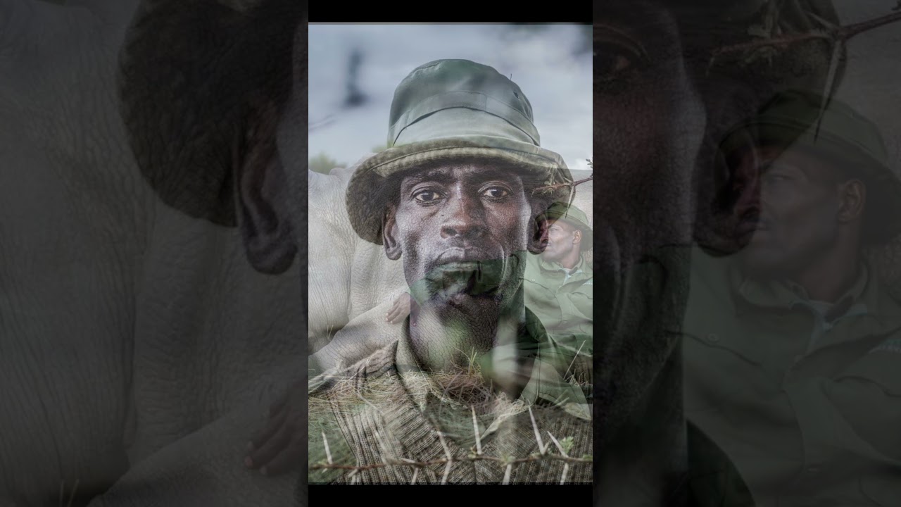 Освойте визуальное повествование, а не визуальные приемы.