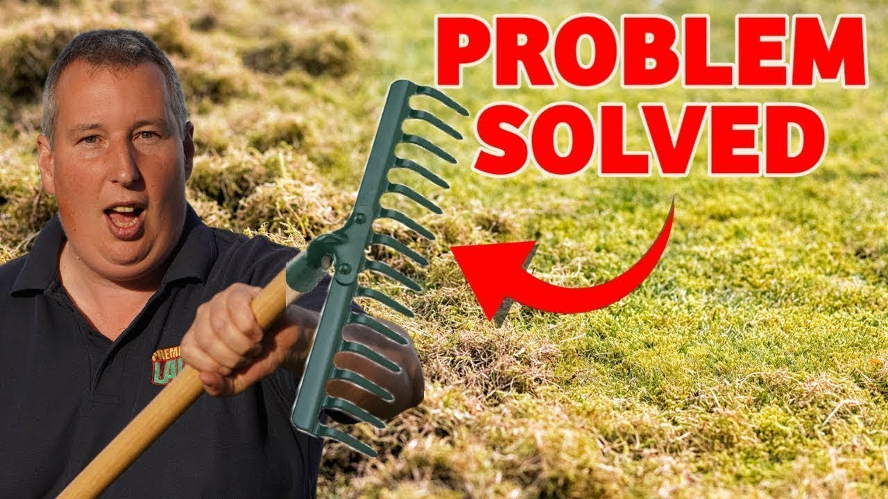 Is Your Lawn Spongy And Difficult to Mow? Here's The Fix! YouTube