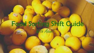 Food Sorting Shift Guide: Episode 3