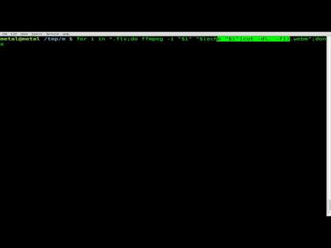 Bulk Convert to Webm and MP3 FFMPEG BASH Linux