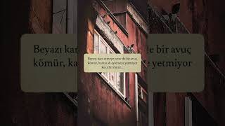 Siyah saçlarla geldin, defter beyaz  Beyaz saçlarla gidiyorsun, defter siyah