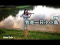 我是一只小小鳥 -  趙傳 小提琴(Violin Cover by Momo)