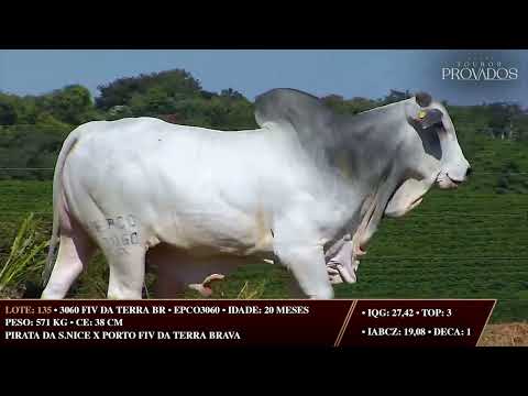 LOTE 135   EPCO 3060
