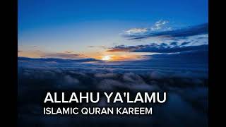 Allahu Yalamu  s Hashnoor 