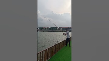 Hồ Câu Huyện Đội Hóc Môn