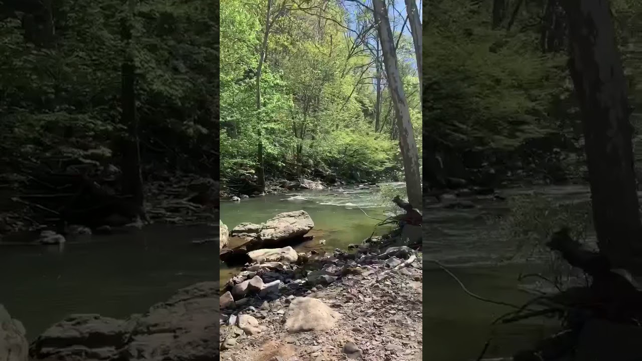 Brush Creek Falls 7.5 Mile Hike YouTube