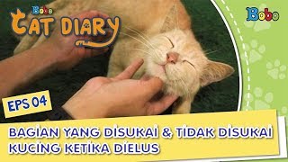 Kucing Lucu  Bagian yang Disukai dan Tidak disukai Kucing Ketika Dielus  Bobo Cat Diary Eps 04