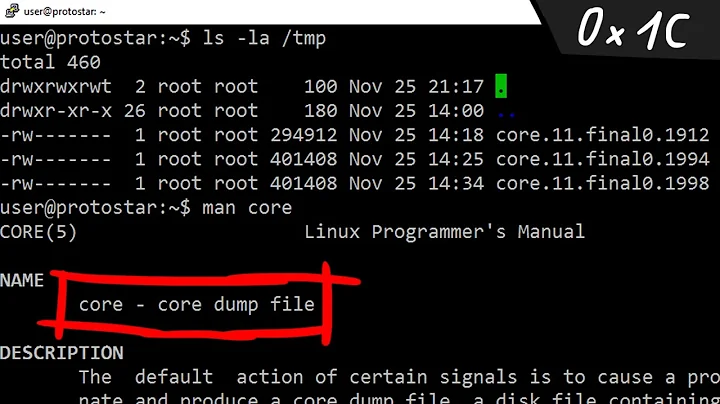 Linux signals and core dumps - bin 0x1C