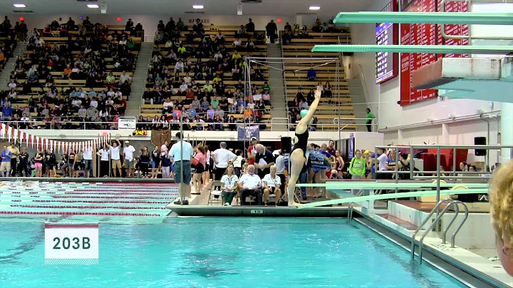 Michaela Sliney - 2014 MA State Diving Champion