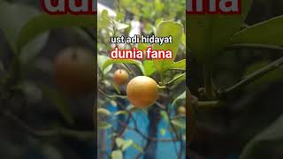 Jangan Takut Dengan Duniaustadzadihidayat