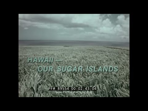 1960 HAWAII HISTORY EDUCATIONAL FILM   SUGAR INDUSTRY & AGRICULTURE  89554