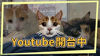 您好，各位沒有現實生活在2025最後一天還是選擇打POE一代的人。 Poe1觀眾聯盟 純幽魂起手能打到什麼程度？ 在近乎自立的環境挑戰自己的極限  !神諭者coc !POE2 !ninja