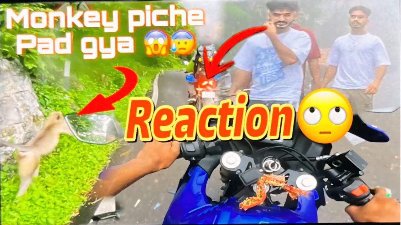 Mount aabu episod..—2 Monkey🐵piche pad gya yrr😰😱 weather🌧️and reaction 🙄😏