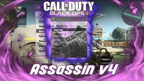 🔵[Bo2/sprx]Assassin v4.0 Non-Host Menu (Fortnite, Location, Anti-Freeze, Ip Spoofer MORE.)+Download