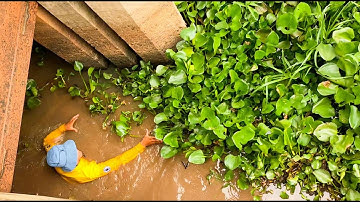 Help Me!!! Massive Clogged!!!Remove Floating Plant Clogged Huge Water Gate Drain Water