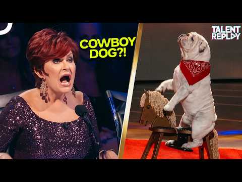 BULLDOG RIDES A HORSE?! Most Talented Dog AGT Has Ever Seen