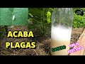 ACABA  Pulgones,  Cochinillas, Hormigas , la Mosca Blanca  y otros| Insecticida Casero para Plantas