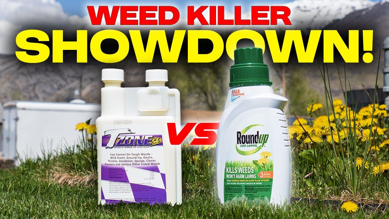 Roundup (Retail) vs. T-Zone (Pro Grade): Why ONE FAILED & My Secret Combo WON!
