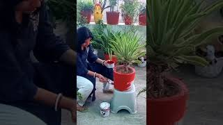 बेमौसम बारिश और garden update #plantpotcolour