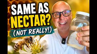 The TRUTH About Bee Sugar Syrup Ratios You Need to Know!
