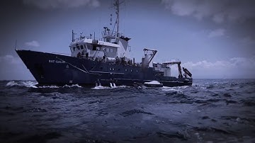 Sealartec Unveils Robotic Launch and Recovery System