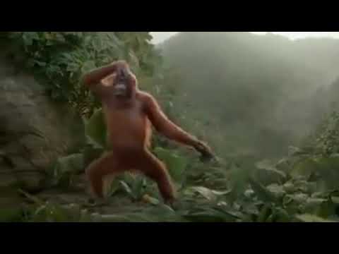 لم عام 2020 يعدى وانتا لسه مموتش 