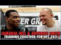 Jamahal Hill, Anthony Smith Train Together For UFC 283: 'It's Not Weird To Us At All'