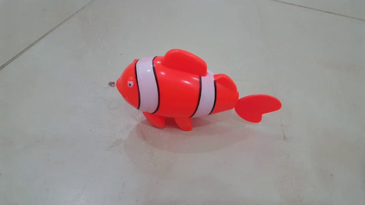 Fish  toy  for kids /by akgvv