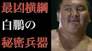 最凶横綱・白鵬の秘密兵器「右ひじ特注サポーター」は2枚重ねの異常硬度!!!対戦相手は“やすりで削られたよう…”