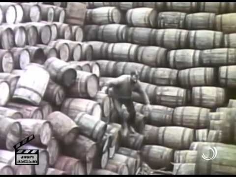 კინოქალაქი / ბერდია ინწკირველი / 12.01.2015