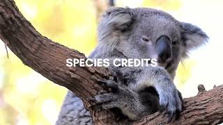 Ecological Consultant Dr Amanda Griffith Talks Biodiversity Offsetting