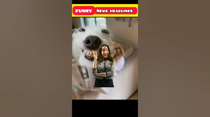 #shortyoutube #short #youtube #mrbeast #mrindianhacker #viral #xyzcrazy #trending #short1 #short2