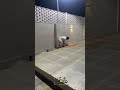 شاب ي غلق المسبح على أصدقائه في مقلب خطير يثير الرعب شاب ي غلق المسبح على أصدقائه في مقلب خطير يثير الرعب