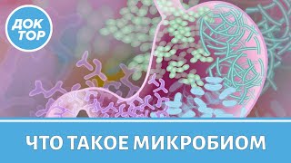 Как заботиться о микробиоме, чтобы дожить до 100 лет