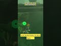 BRO STOP HARASSING ME  #zelda  #Breath Of The Wild #Tears of the Kingdom