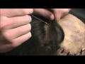 Latex mask hair punching tutorial