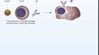 Hess Animation 3 | Jones & Bartlett Learning