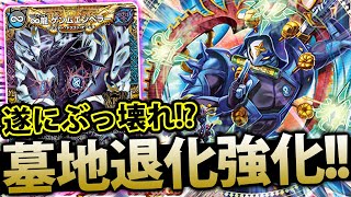 ドロマー墓地退化 デッキ スリーブ付き ザキラーキーナリー ゲンムエンペラー ドロマー墓地退化 デッキ スリーブ付き ザキラーキーナリー ゲン