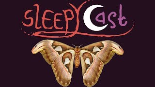 Moths in Cory's Room  Best of SleepyCast