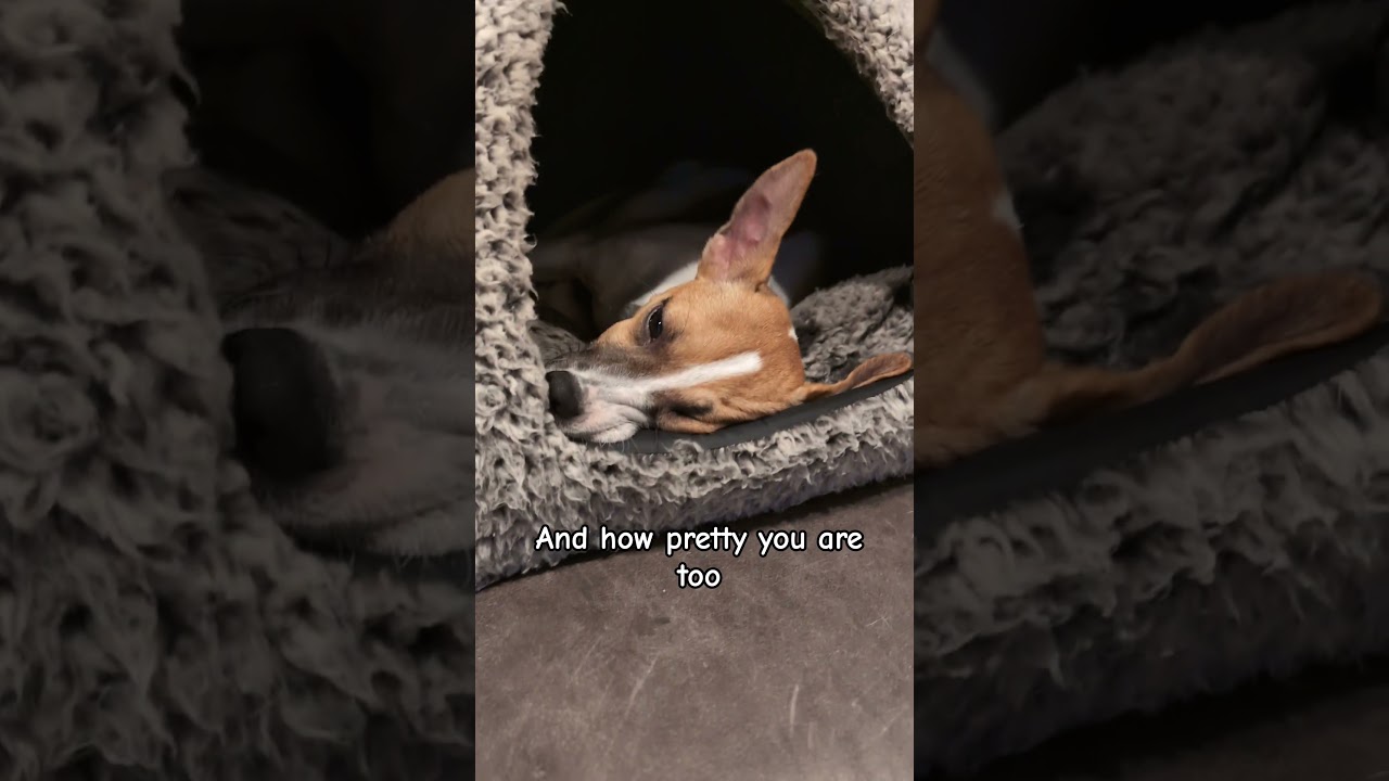 thinking of you 💖 