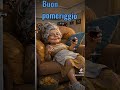 Buon pomeriggio amici