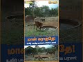 மான் கராத்தே! உயிர் பயத்த காட்டிட்டாங்கெ பரமா!