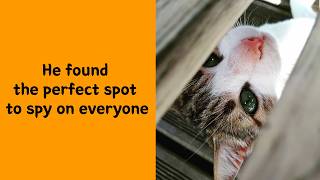 50 Wholesome Pets Showing Off Their Cutest Moments
