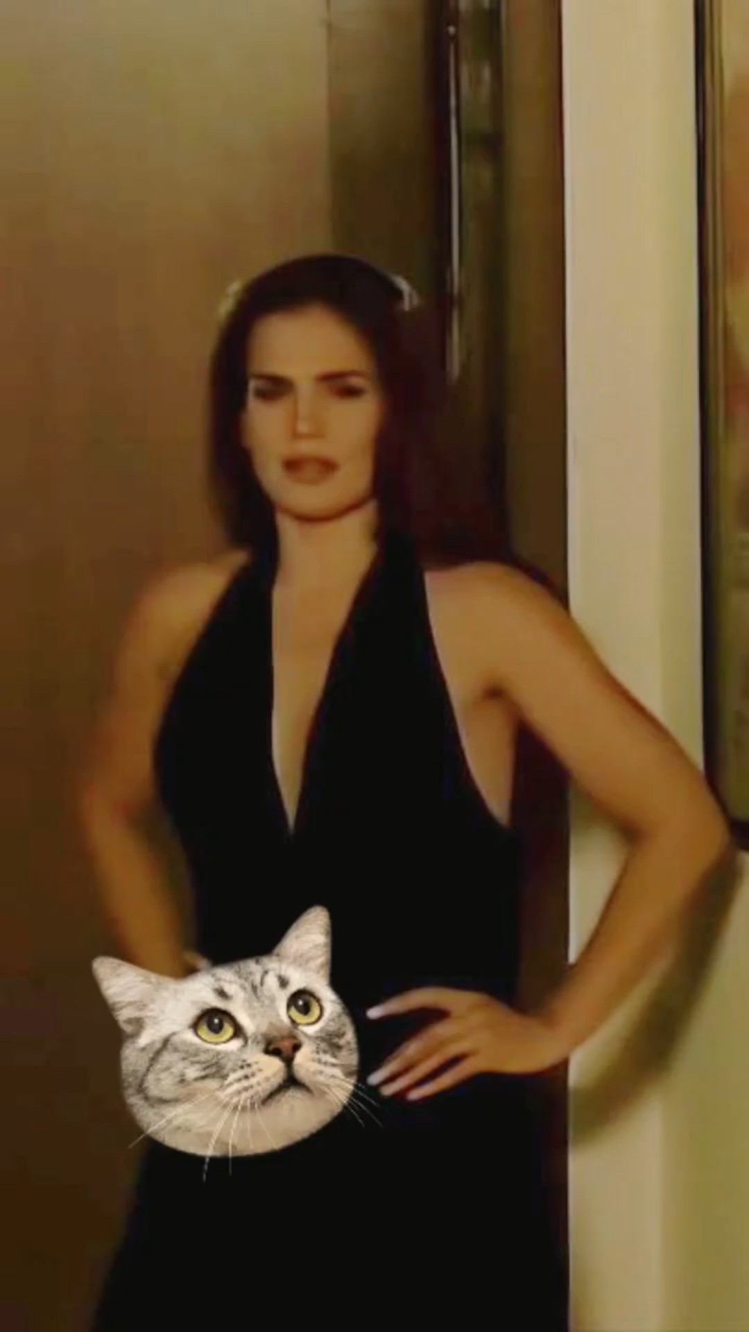 Otro gato ? #salomé #tlnovelas