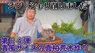 入手困難！超貴重な知床真柏を手作業で磨いたオブジェ 入手困難！超貴重な知床真柏を手作業で磨いたオブジェ - メルカリ