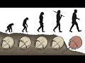 Evolutionary Concepts and Adaptations