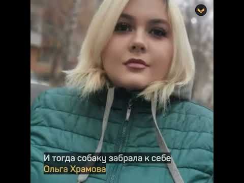 Видео: Добро домашно куче